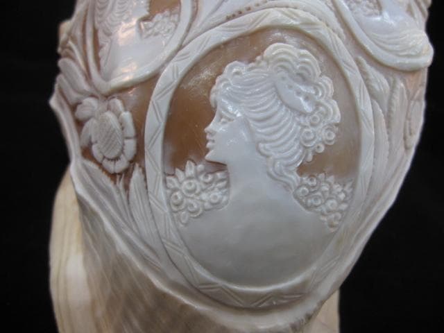 カメオ細工　クチグロトウカムリ　イタリア