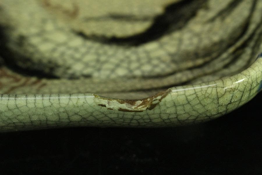 仁清写 色絵 金彩 鴛鴦流水紋 長皿 十客 古清水 茶道具(K-A227)