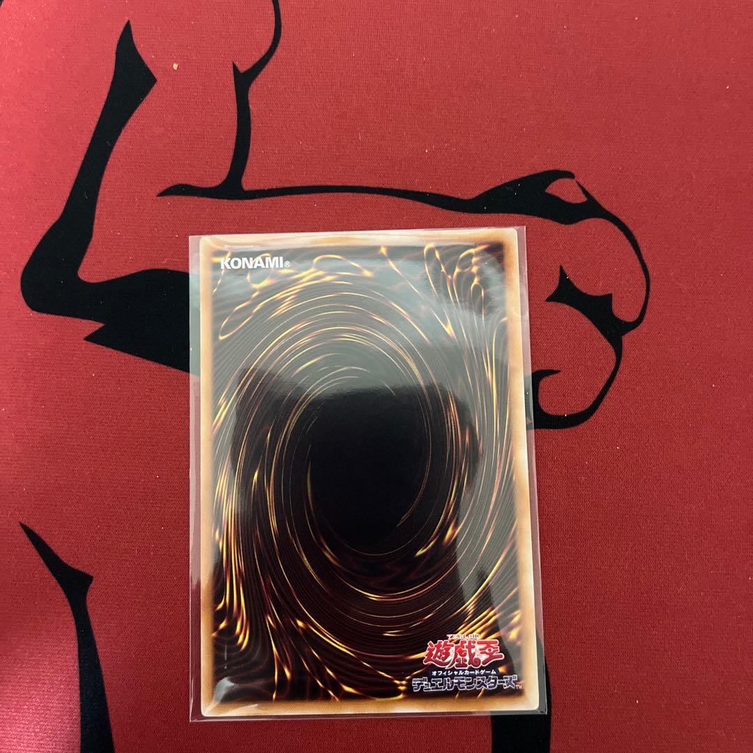 遊戯王 大輪の霊使い プリシク① 魔導書➕エリアシク