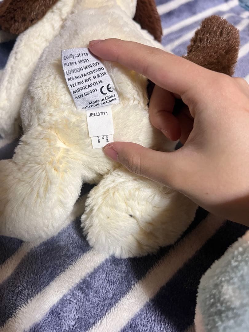  Bashful Mutt Puppy Mサイズ