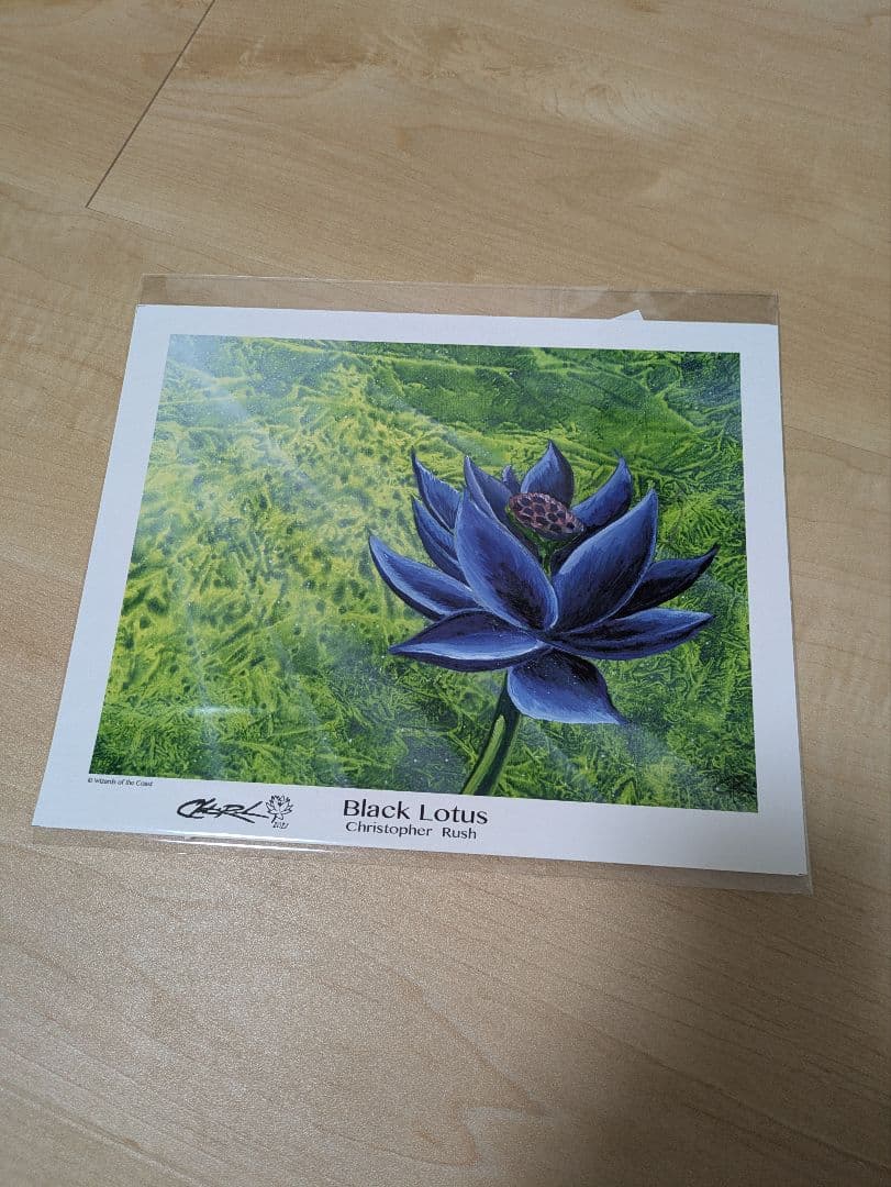 MTG アートプリント　ブラックロータス