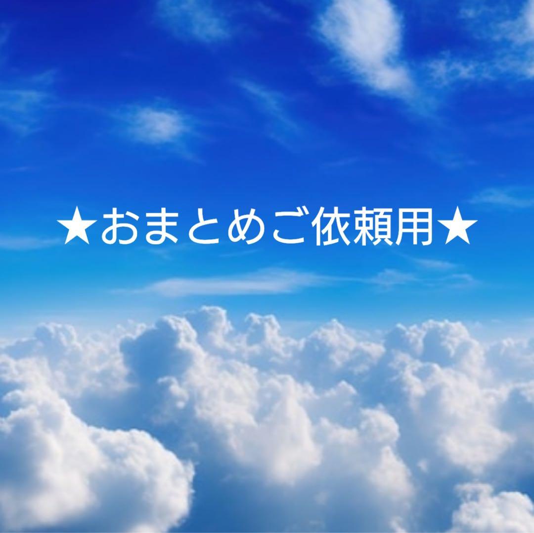 jwkn 値下げ交渉ok様 リクエスト 8点 まとめ商品
