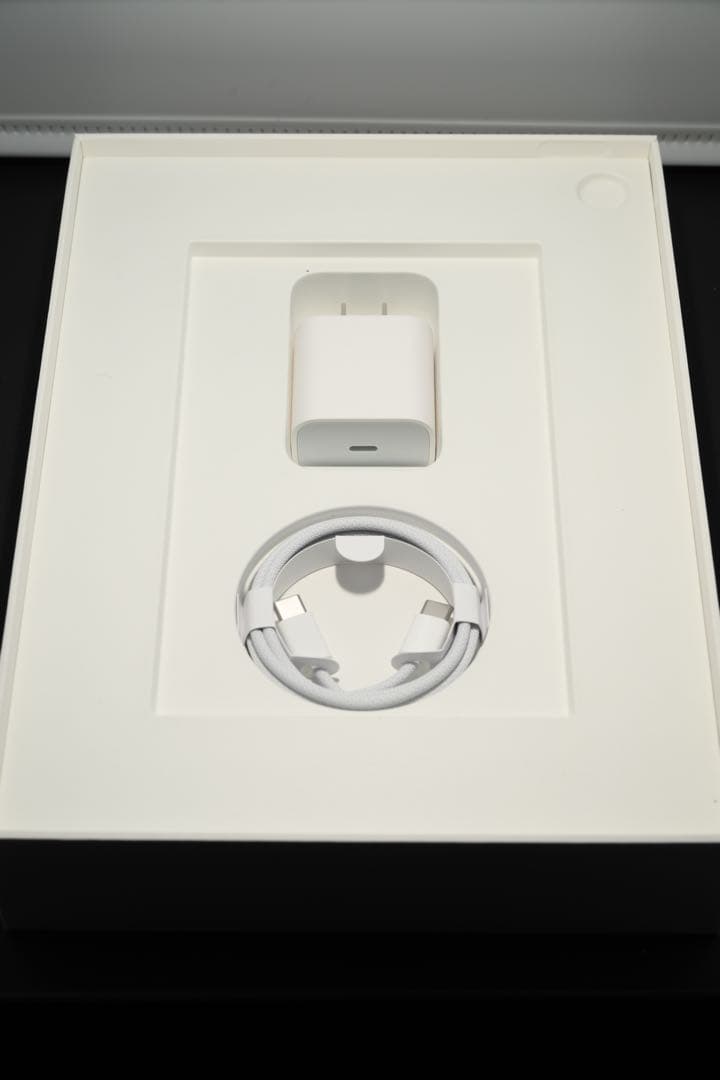 Apple iPad本体 A16 Wi-Fiモデル 256GB イエロー