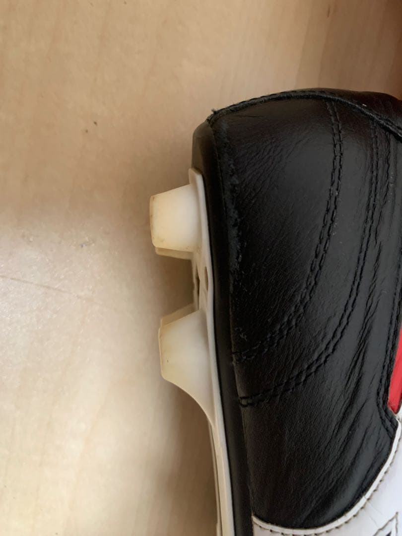 モレリア 2 クロスステッチ26cm