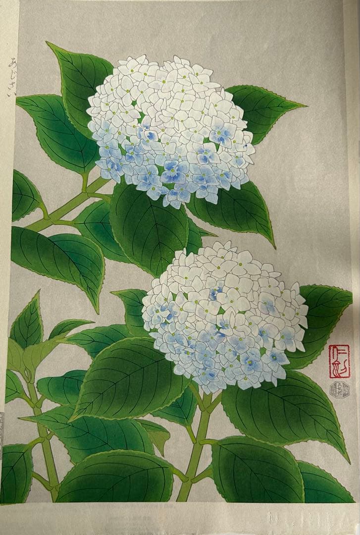 伊藤仁三郎 手摺り木版画　紫陽花　あじさい 木版画 内田版 (I-271)