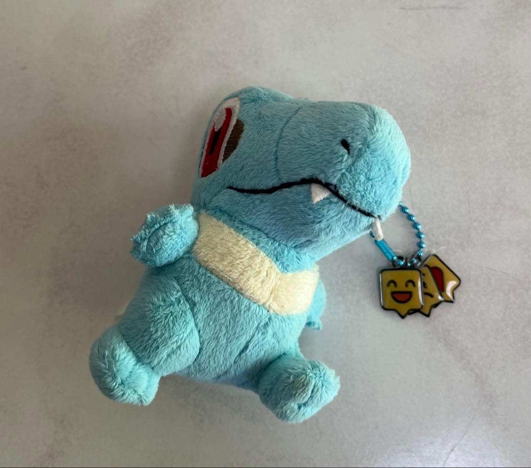 R*O様 ポケモンのぬいぐるみチャームつき８個＋チャーム無し１個　まとめ売り