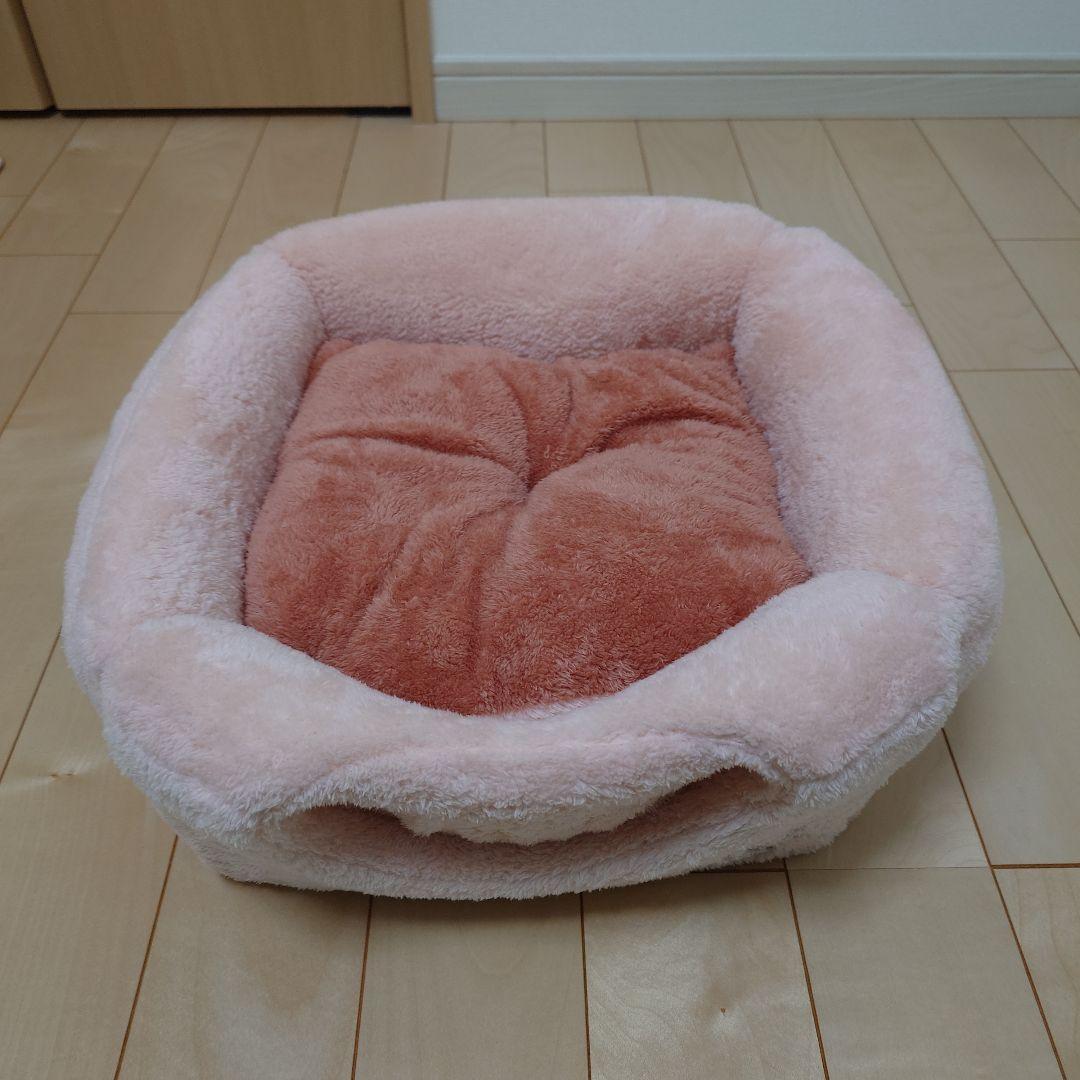 猫　子猫　飼育セット　猫グッズ