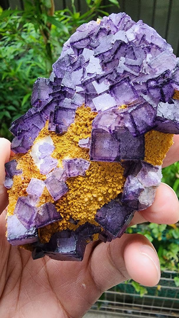 紫と黄色の美しい鉱物 結晶