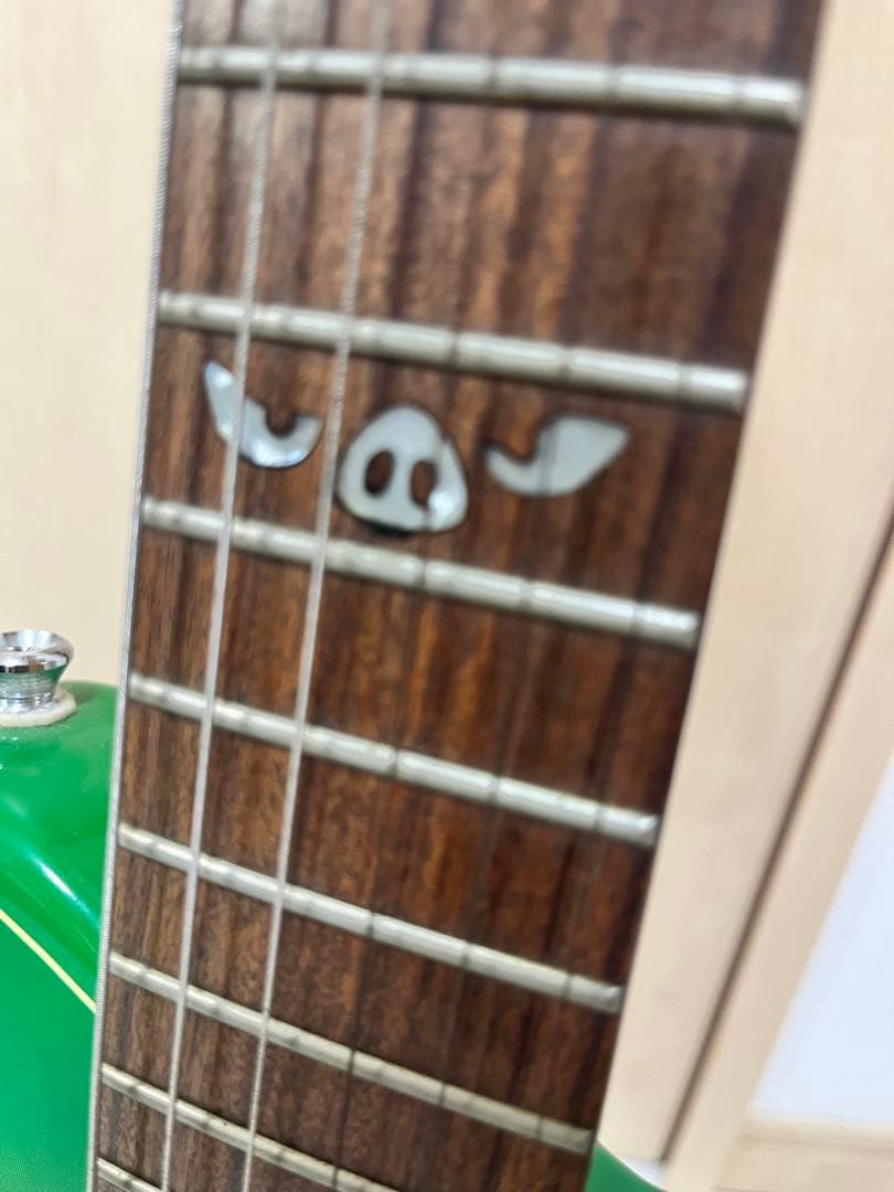 希少 ビンテージ　ピグノーズ　Pignose エレキギター ファイヤーパターン