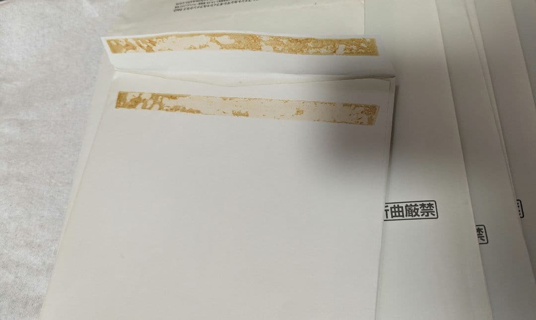 エレファントカシマシ　会報誌