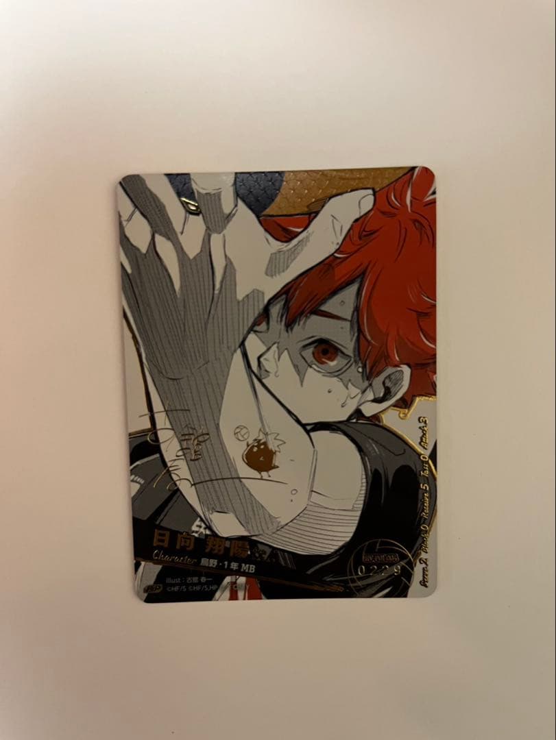 ハイキュー バボカ 日向翔陽 シリアルナンバー入りサインカード 極P