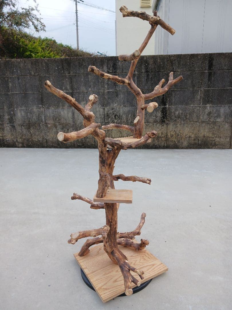 バードアスレチック バードアスレチックジム 止まり木、小鳥、流木(焼き入れ)