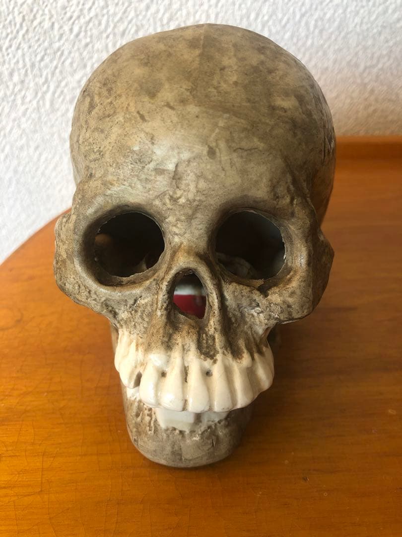 ビンテージ　スカル　髑髏　骸骨　骨董　ミッドセンチュリー　灰皿　アンティーク