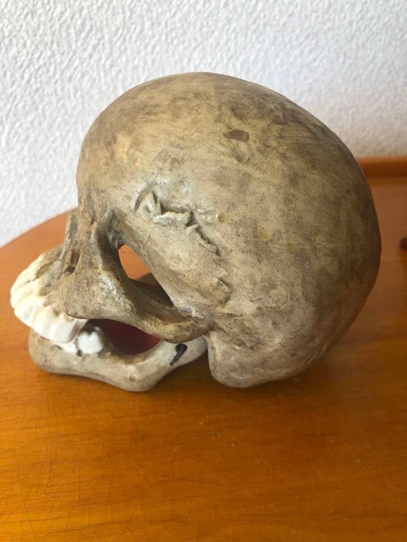 ビンテージ　スカル　髑髏　骸骨　骨董　ミッドセンチュリー　灰皿　アンティーク