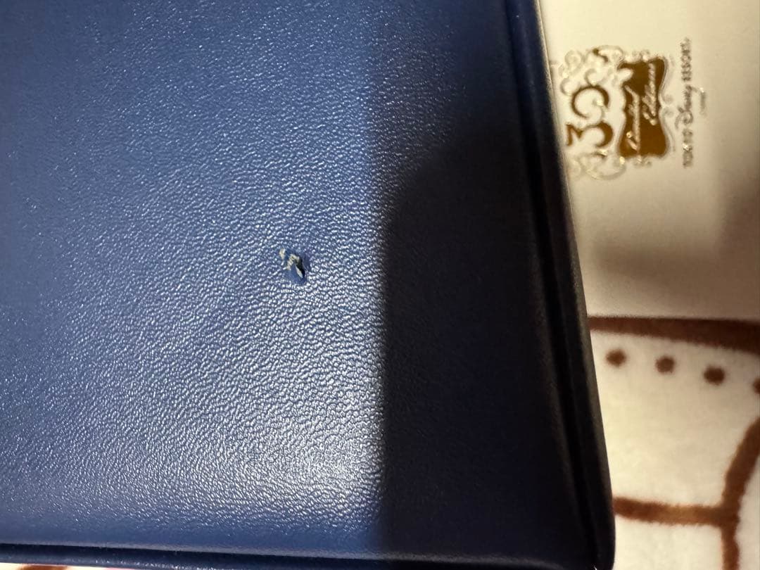 東京ディズニーリゾート30周年限定 ぬいばセット　ミッキー　ミニー　希少　レア