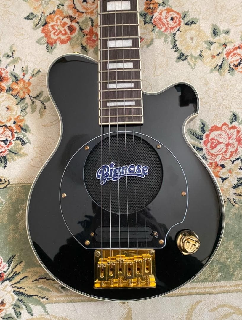 Pignose ピグノーズ PGG-259