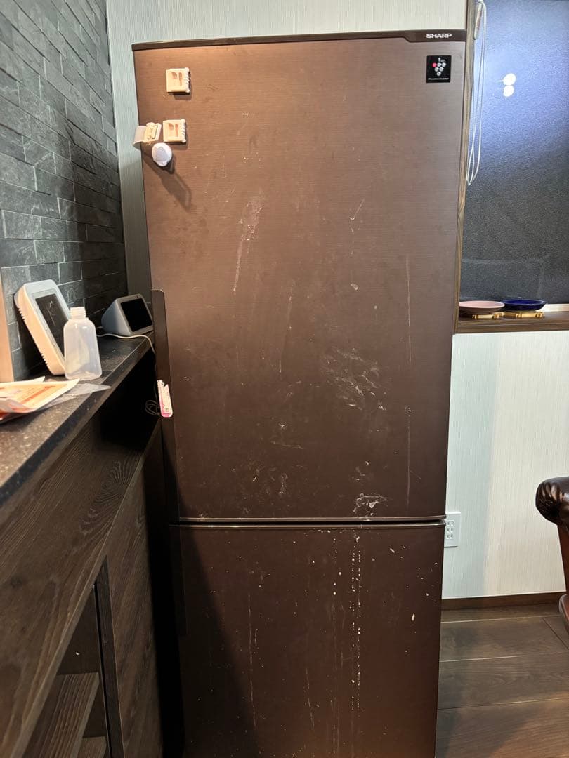シャープ　プラズマクラスター　冷蔵庫
