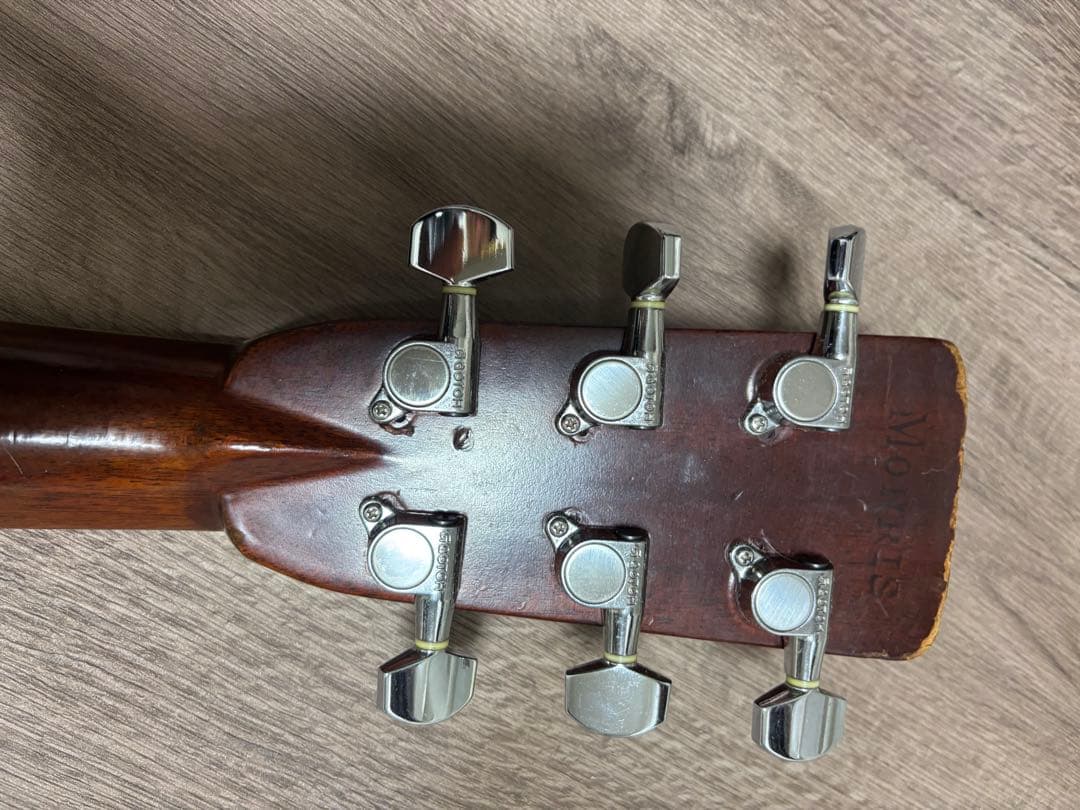 Morris & Co. アコースティックギター W 50 H