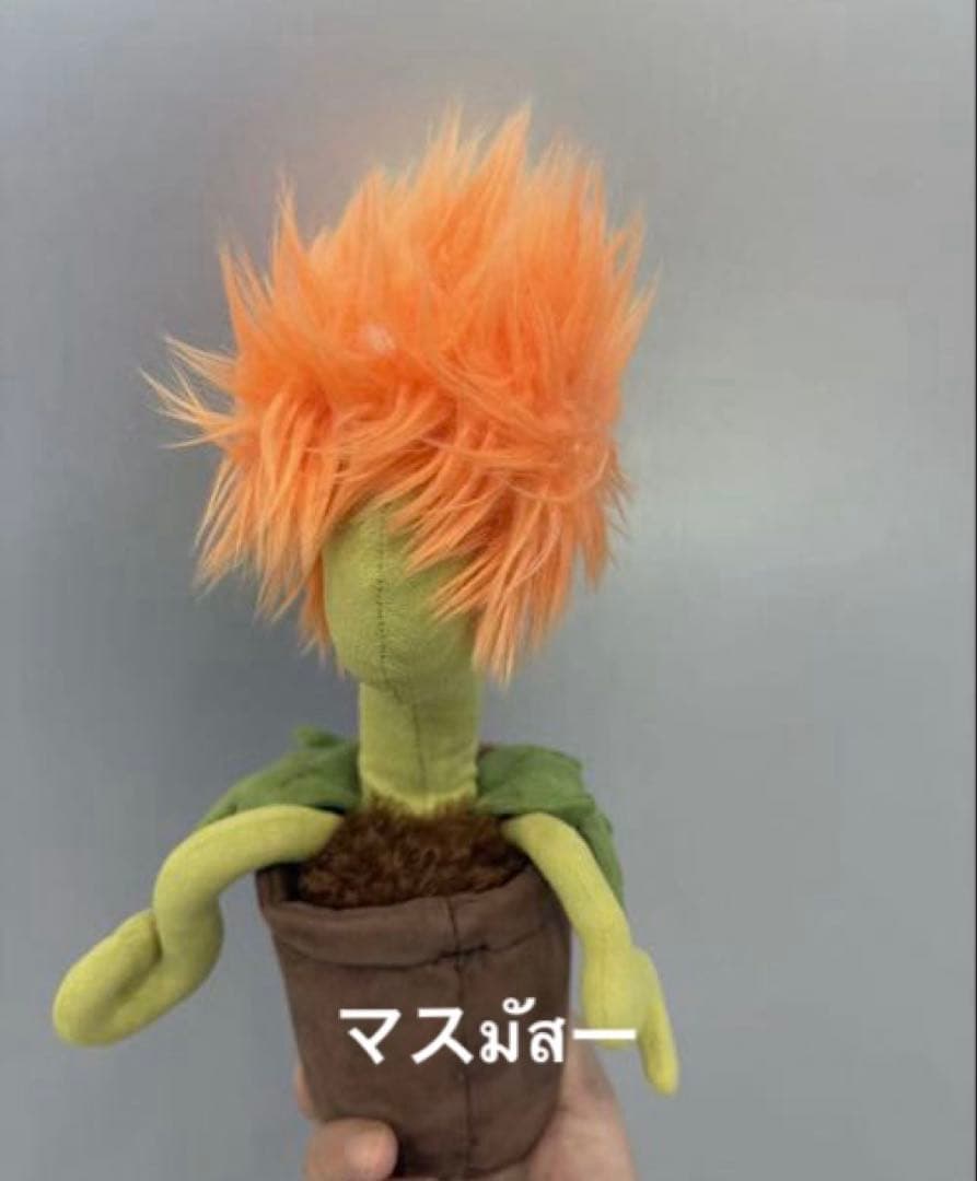  Carniflore Tammie マンイーターフラワー