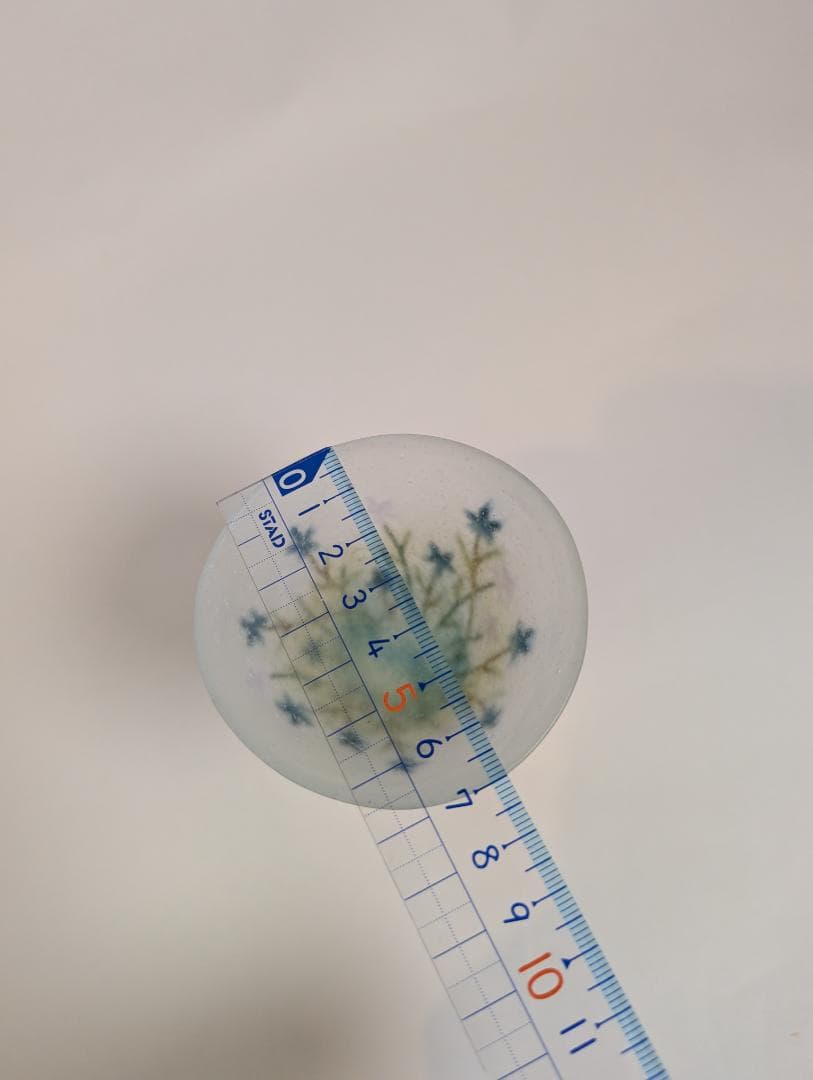 花柄グラス 飯塚亜裕子 パート・ド・ベール