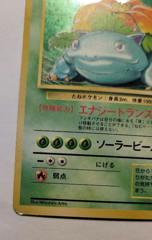 ポケモンカード　フシギバナ　(初版)　マークなし リザードン カメックス 旧裏