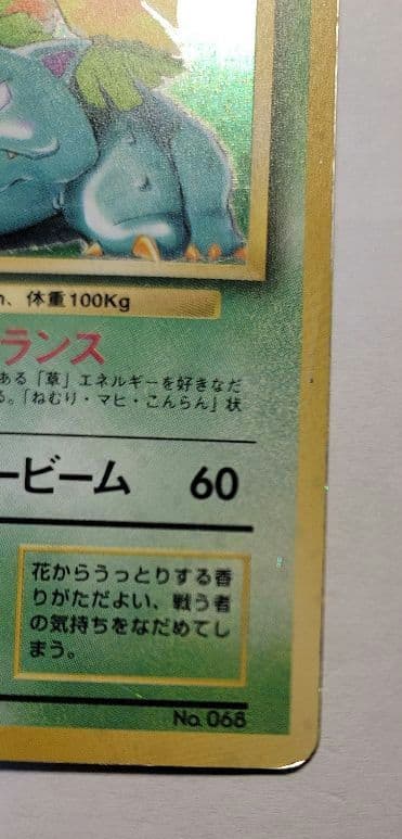 ポケモンカード　フシギバナ　(初版)　マークなし リザードン カメックス 旧裏