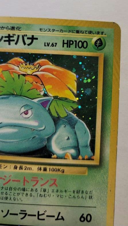 ポケモンカード　フシギバナ　(初版)　マークなし リザードン カメックス 旧裏