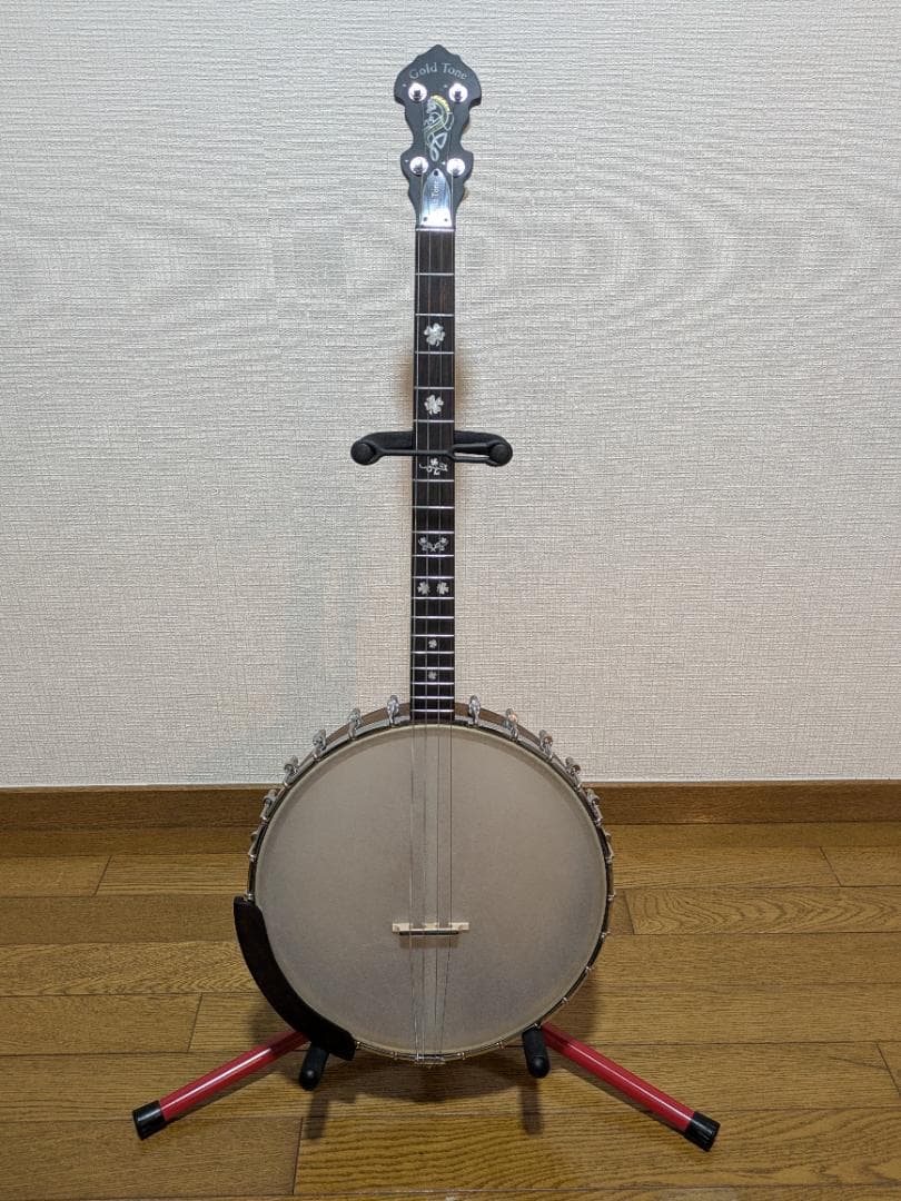 Gold Tone IT-19 Banjo 4弦 アイリッシュバンジョー