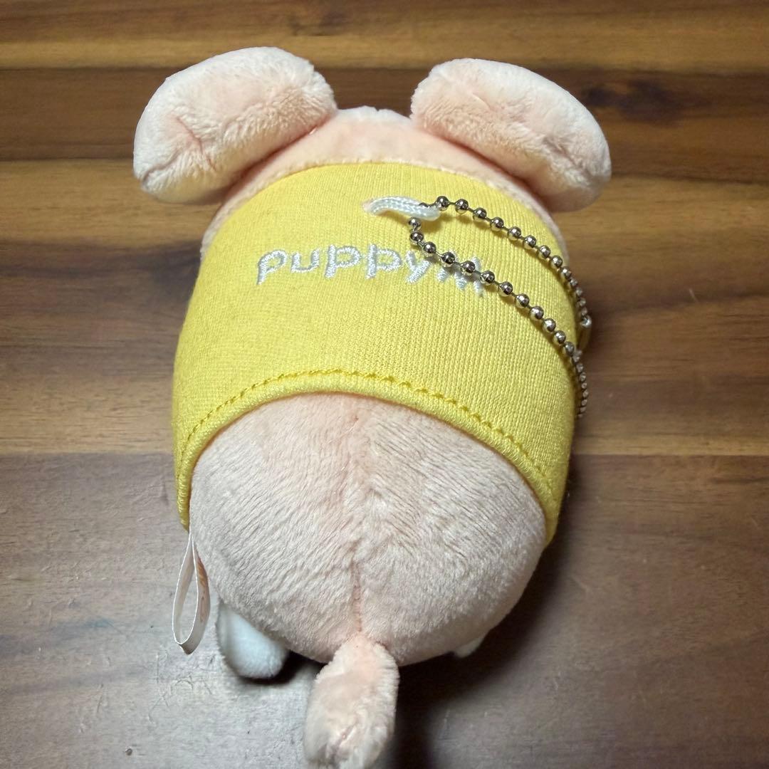 ⭐︎セール中⭐︎ StrayKids スンミン　パピーム　グッズまとめ売り