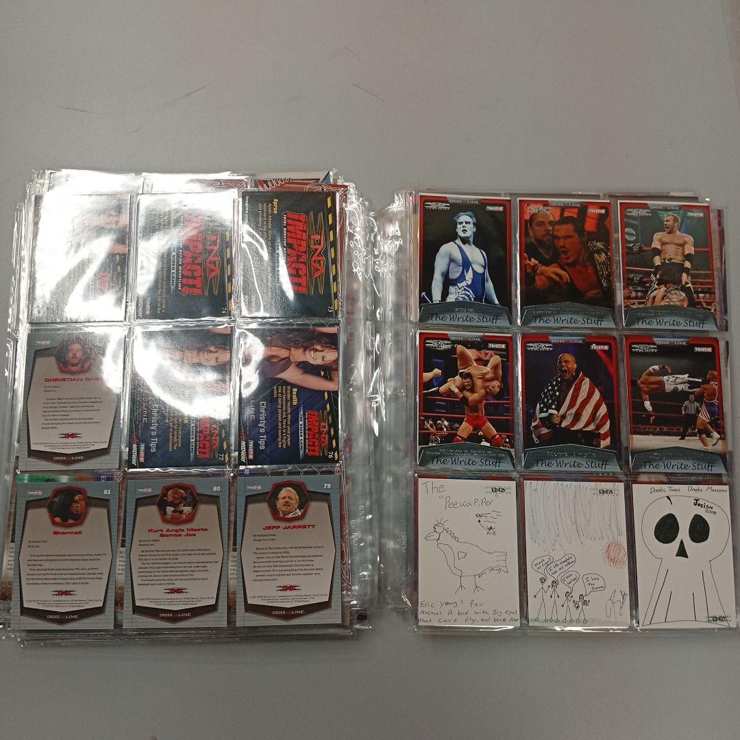 TNAトレーディングカードセット約300枚！