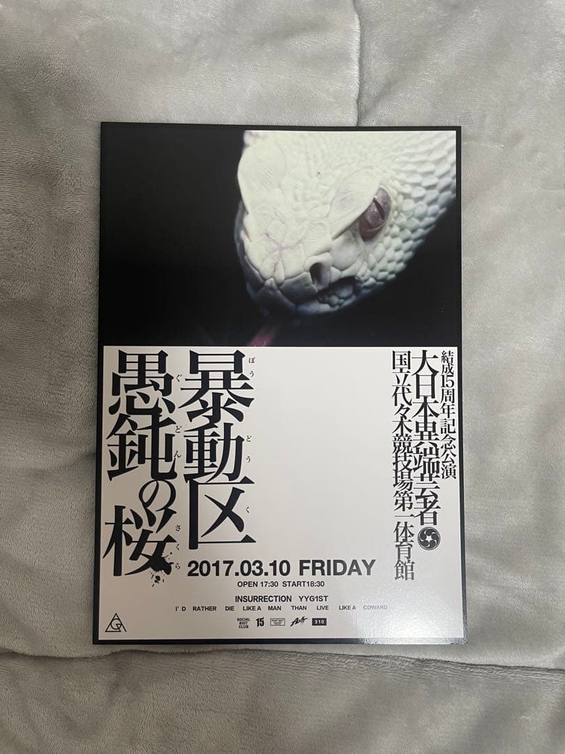 the GazettE PAMPHLET 暴動区愚鈍の桜 ガゼット パンフレット