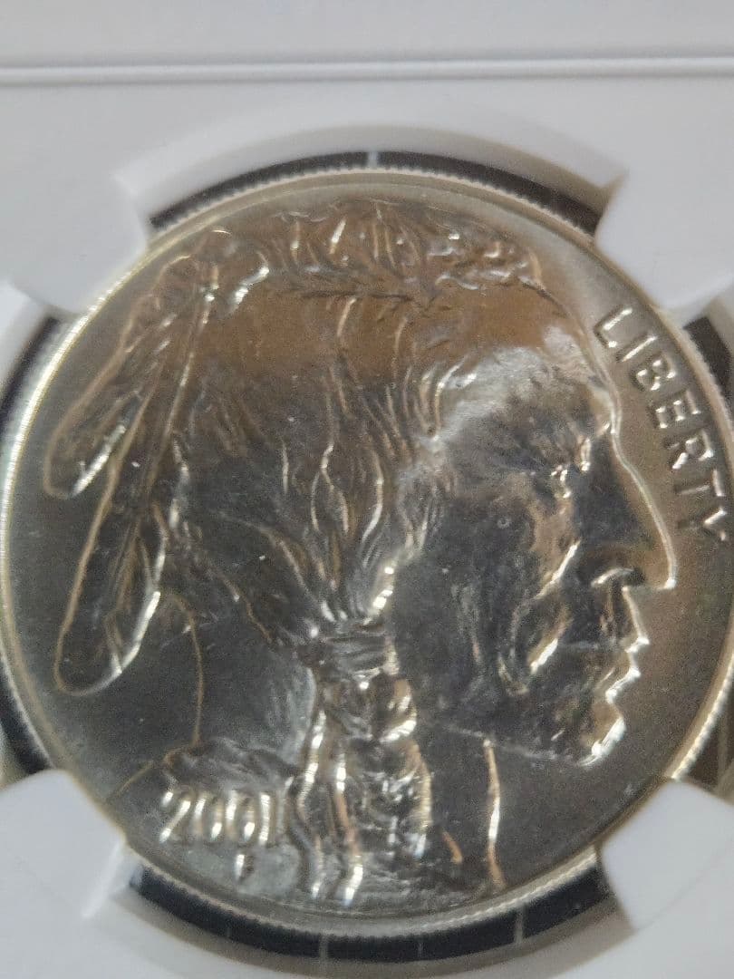 2001 D Buffalo $1 MS 69 バッファロー 銀貨 アメリカ