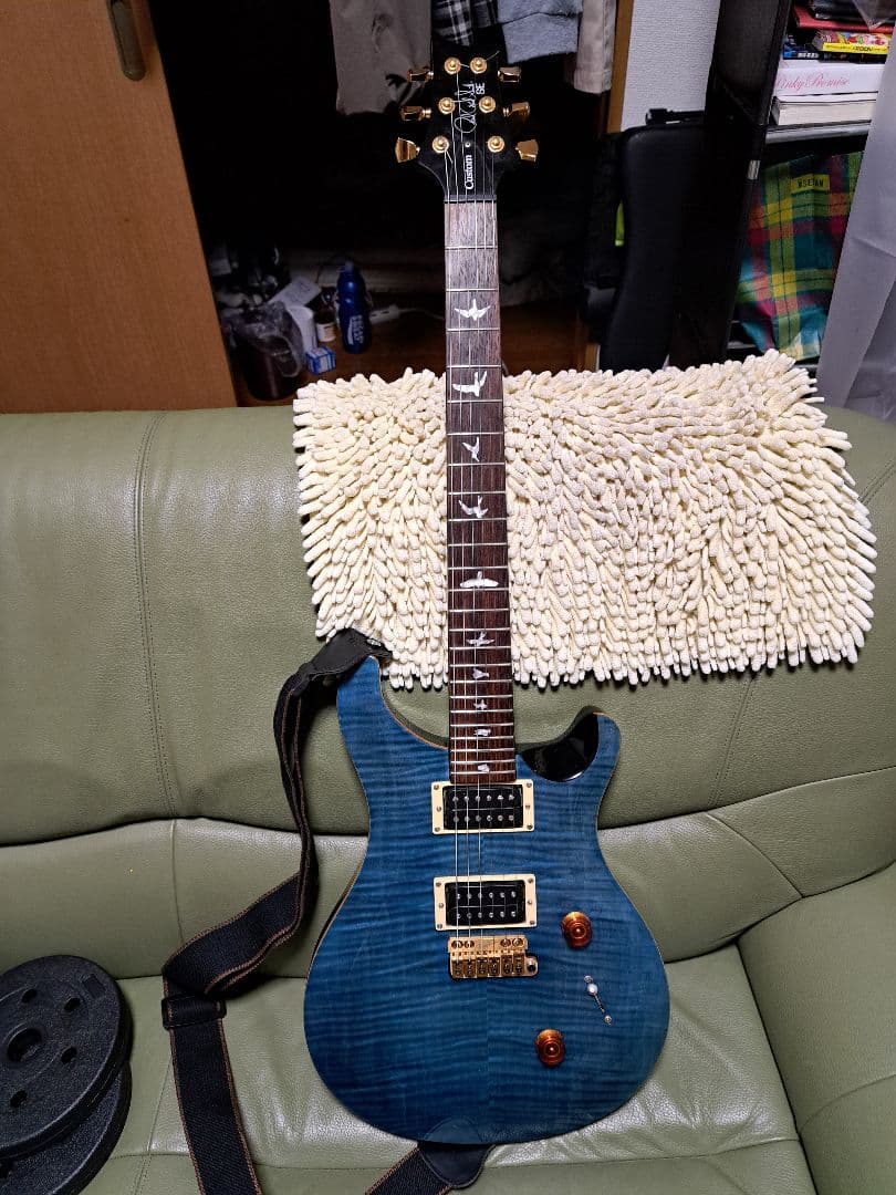 ギター PRS SE custom 24 Modify vegatrem