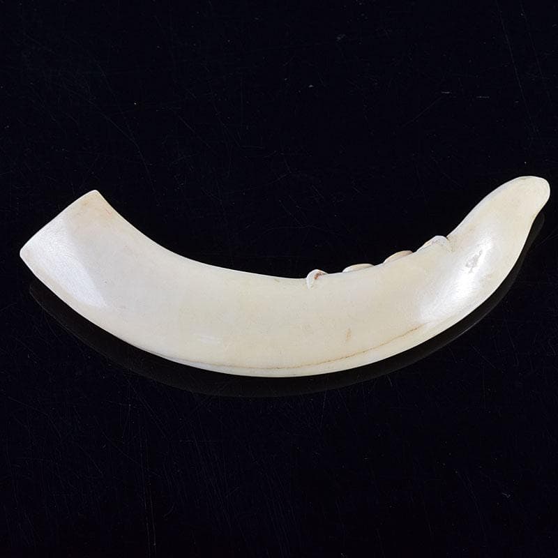 時代提げ物　獣骨　根付　石見根付　蟹文根付　M　8659