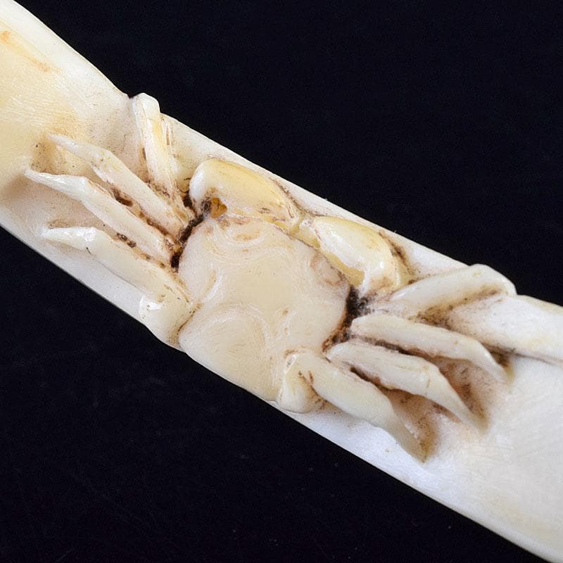 時代提げ物　獣骨　根付　石見根付　蟹文根付　M　8659