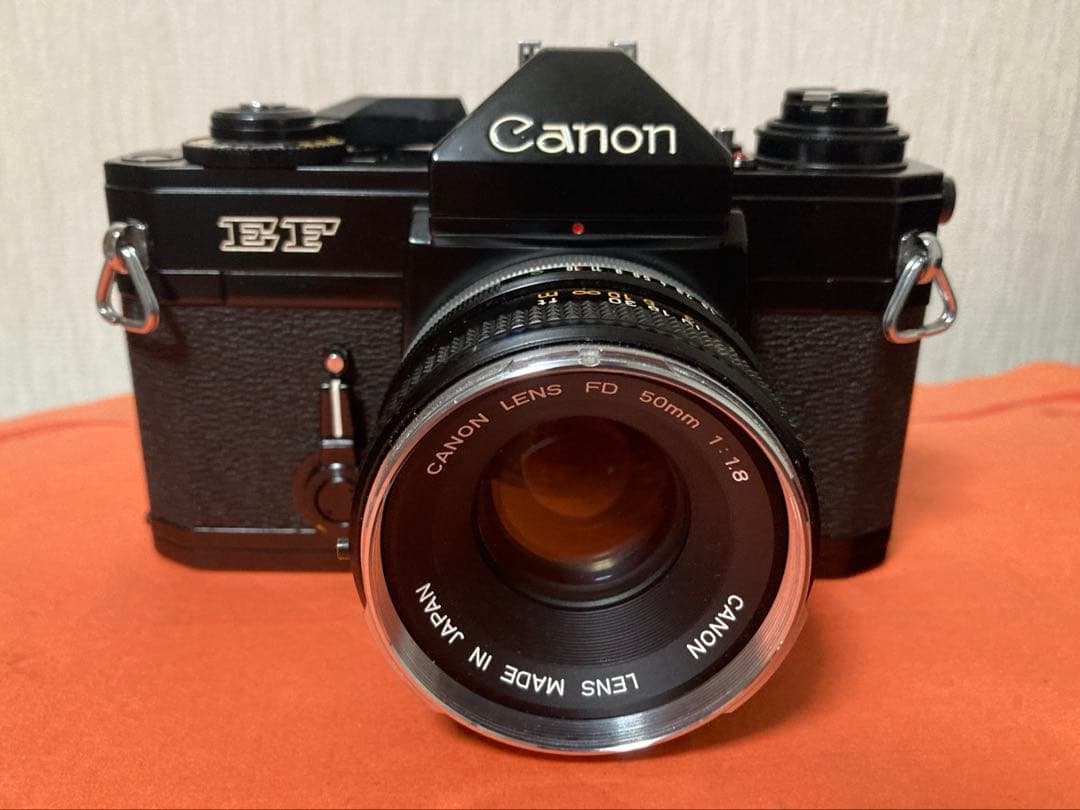 福豆　Minolta XE とCanon EF