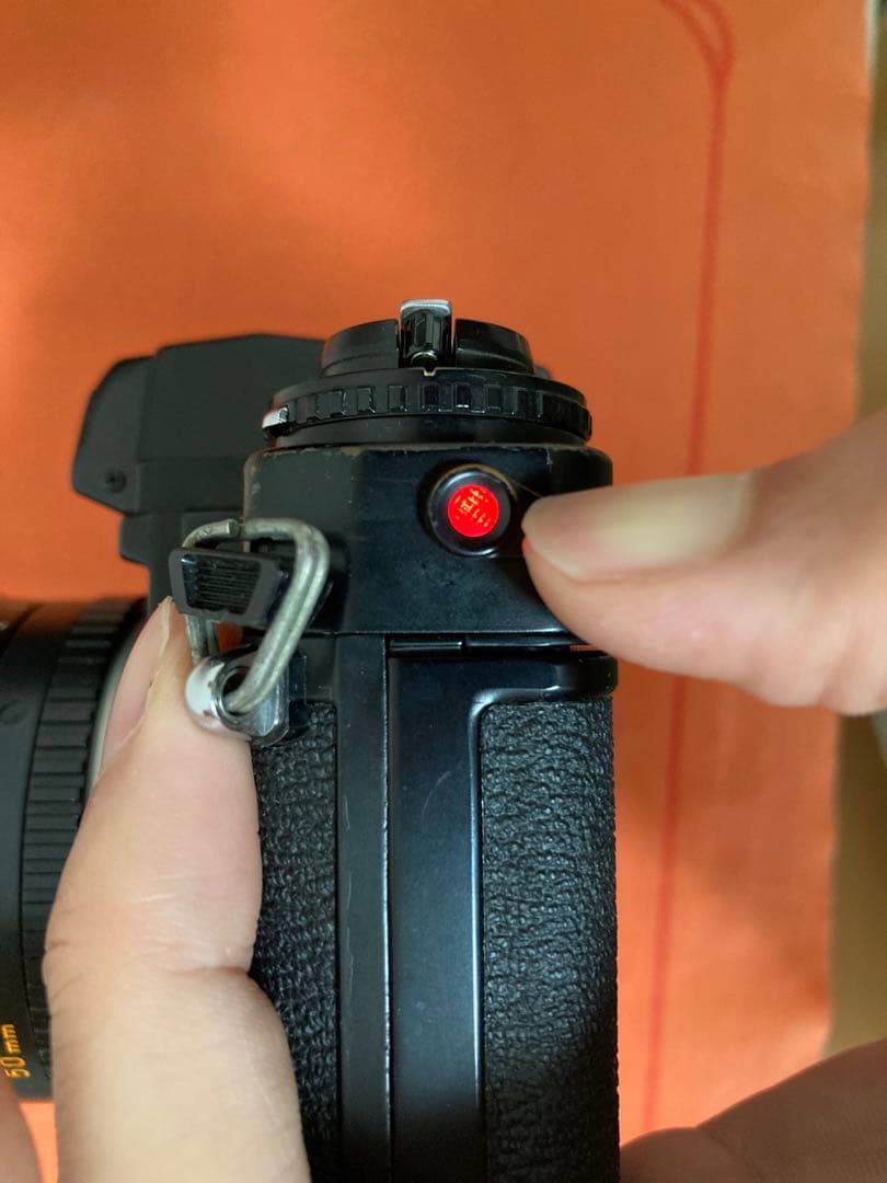 福豆　Minolta XE とCanon EF