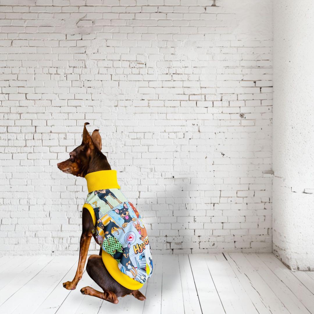 ⑮ミニピン、ミニピンを纏う　　　　　　　 　イタグレ、イタグレを纏う