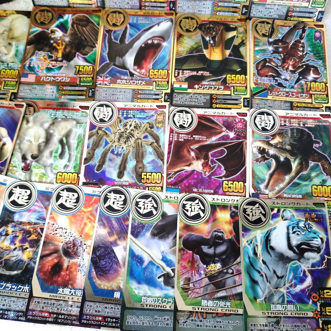 百獣対戦アニマルカイザー150枚以上ファイルごとまとめ売(ジーク/ゴルザード他)