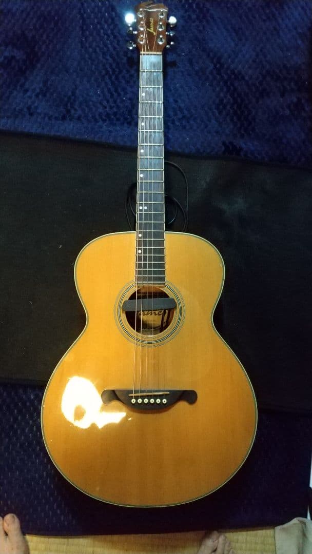 アコースティックギター James JF350 ハードケース、ピックアップ付