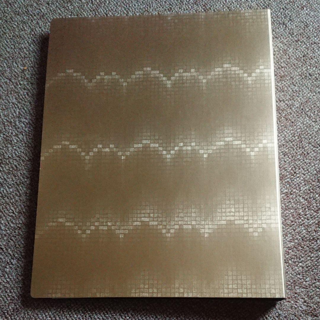 チームナックス  LOOSER 写真