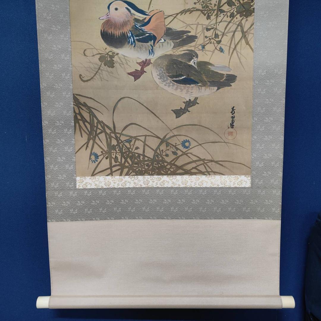 真作/芳翠/秋草鴛鴦図/オシドリ/花鳥/布袋屋掛軸A-519