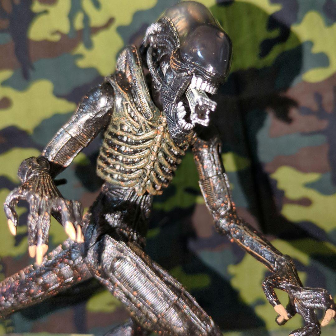 McFARLANE TOYS／エイリアン& プレデター 【中古•箱別売】♦品薄品