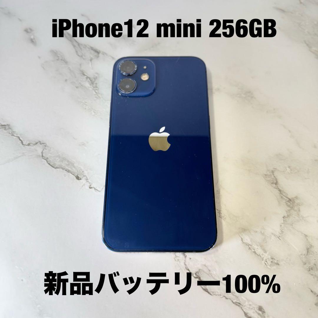 ★バッテリー100% iPhone12 mini 256GB SIMフリー