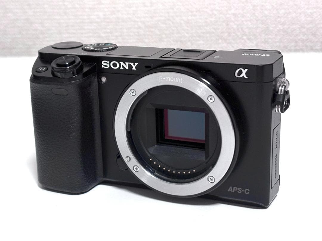 SONY α6000 ダブルズームレンズキット ミラーレス一眼 APS-C