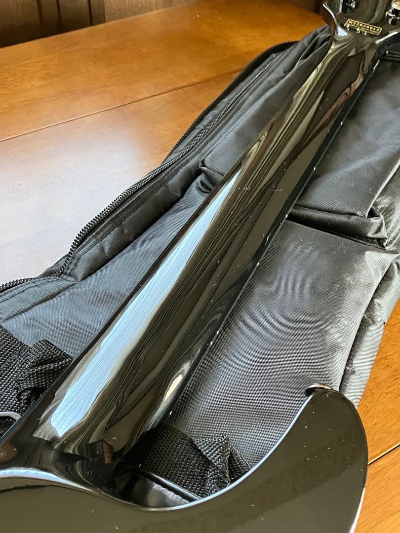 Schecter HELLRAISER 7弦 ギター AD-C-7-FR-HR