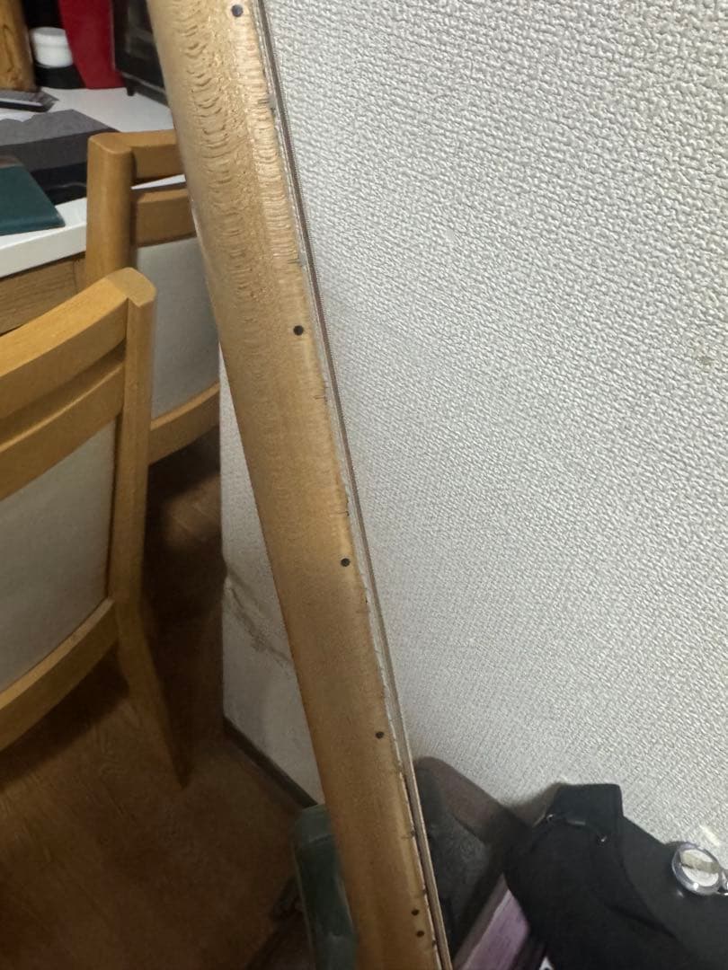 ギター RJ Vibecaster Professional