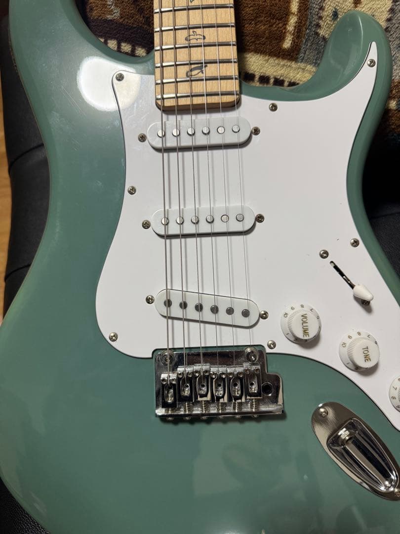 ギター RJ Vibecaster Professional