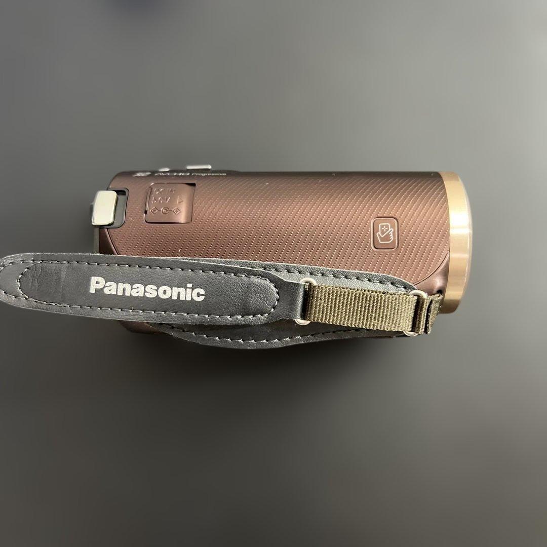 パナソニック Panasonic ビデオカメラ HC-V520M
