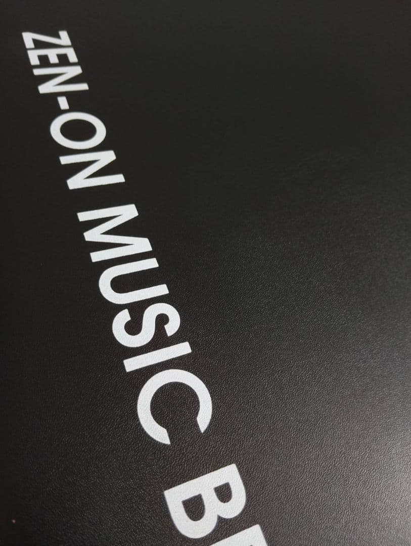 ⭐*い様 ゼンオン ミュージックベル ハンドベル ハードケース 30音収納